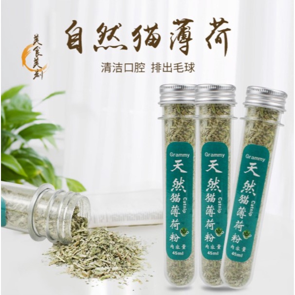 cỏ dành cho mèo