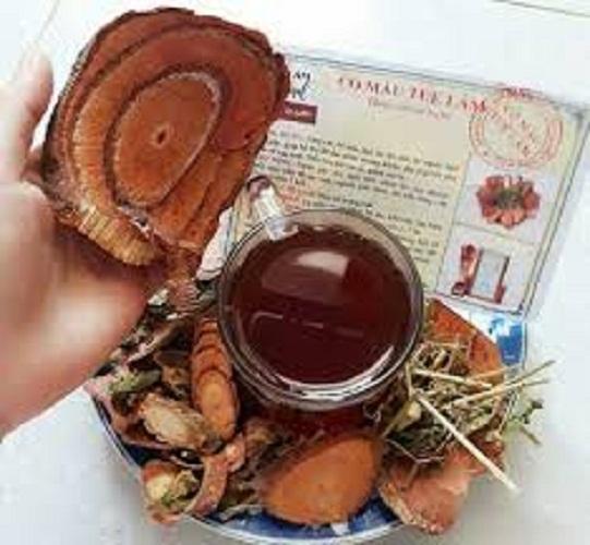 Cỏ máu Tâm An Quảng Bình