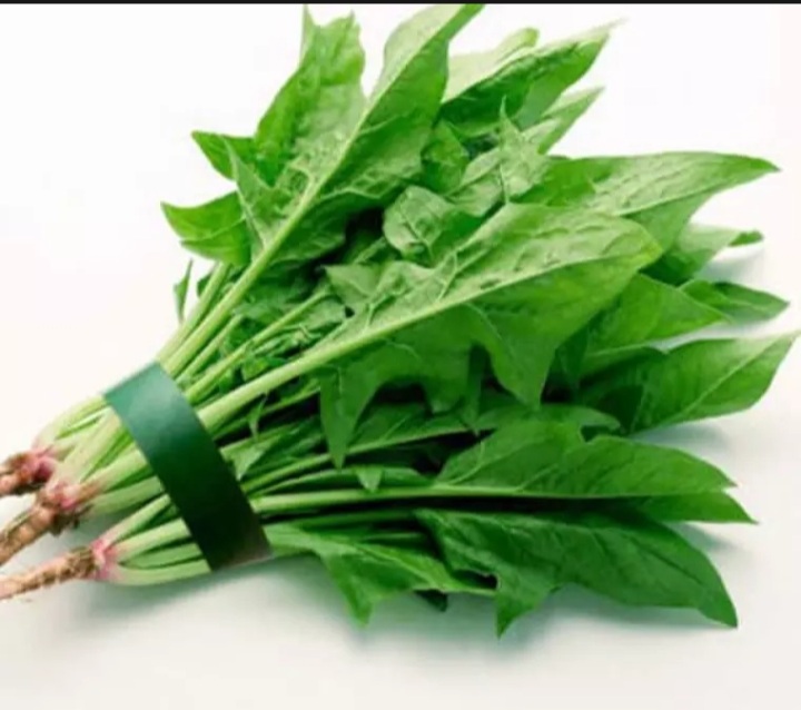 (HCM) Hạt giống cải bó xôi 5gram