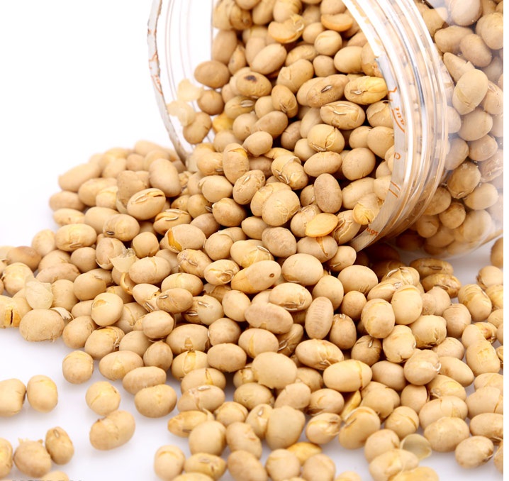 Đậu Nành Sấy Giòn 1Kg Bò Đội Nón