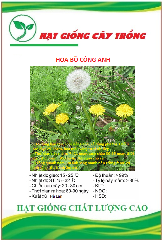 Hạt giống bồ công anh ct226- gói 50 hạt