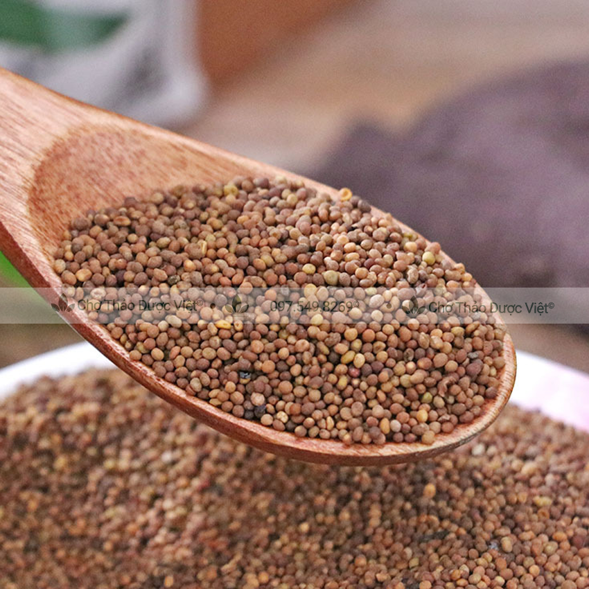 Bạch giới tử hữu cơ 100g ( Hạt cải trắng giảm ho, tiêu đàm) - Chợ Thảo Dược Việt