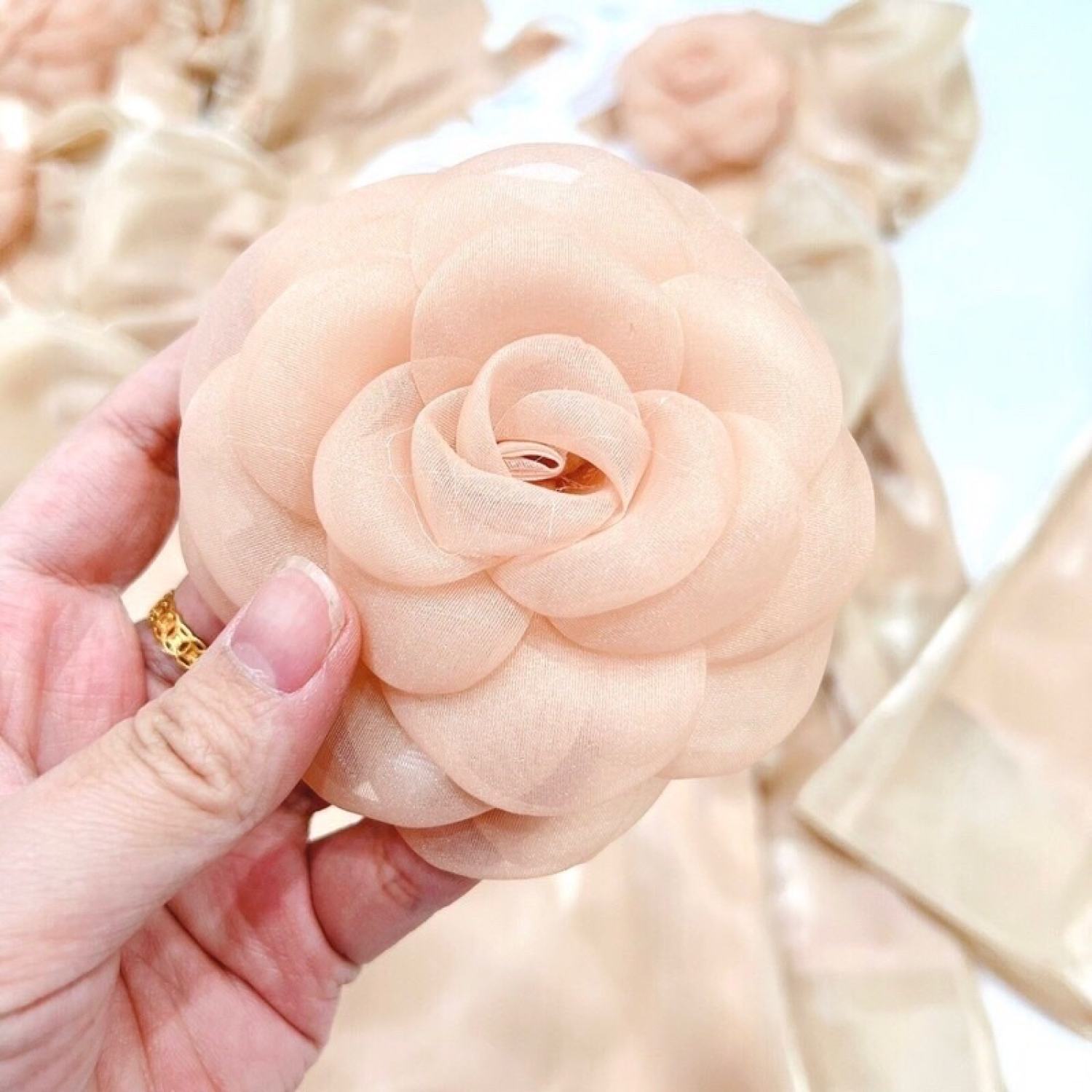 sét bộ tơ hoa trà bigsize (62-90kg)