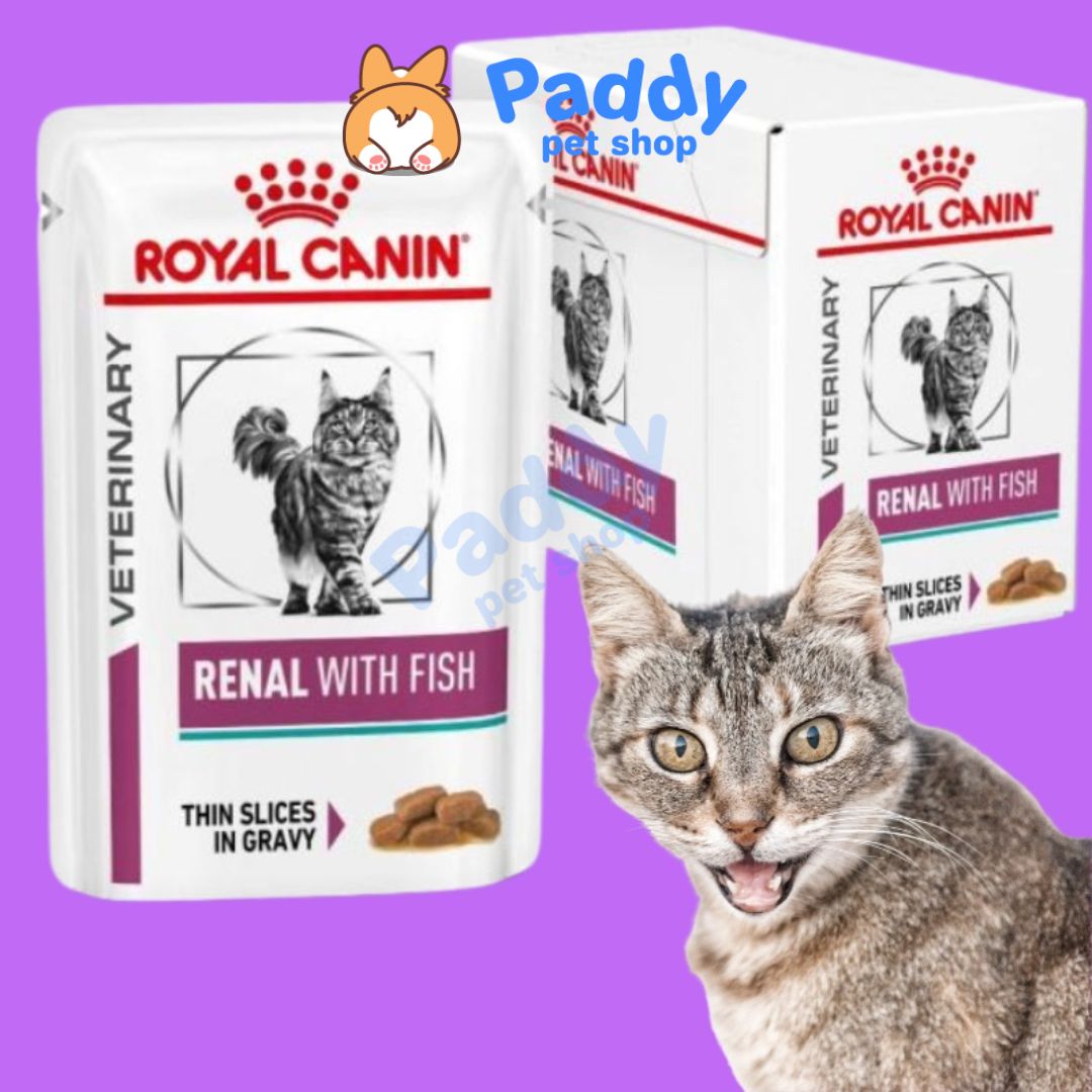 Pate Mèo Hỗ Trợ Thận Vị Cá Royal Canin Renal Cat 85g