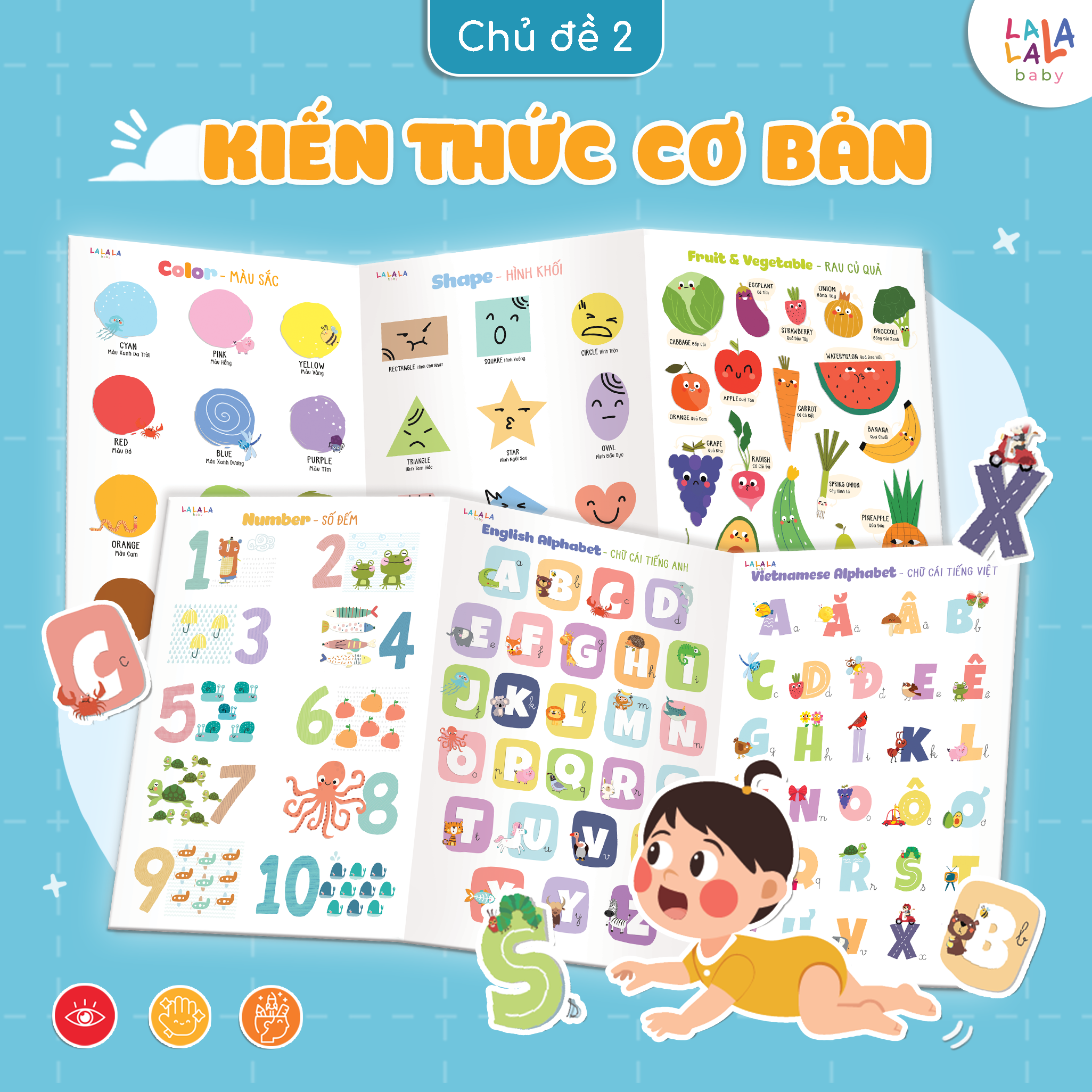 BẢNG GẤP THÔNG THÁI - MY FIRST LEARNING CHART