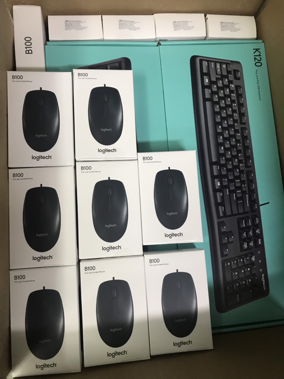 Chuột quang có dây Logitech B100