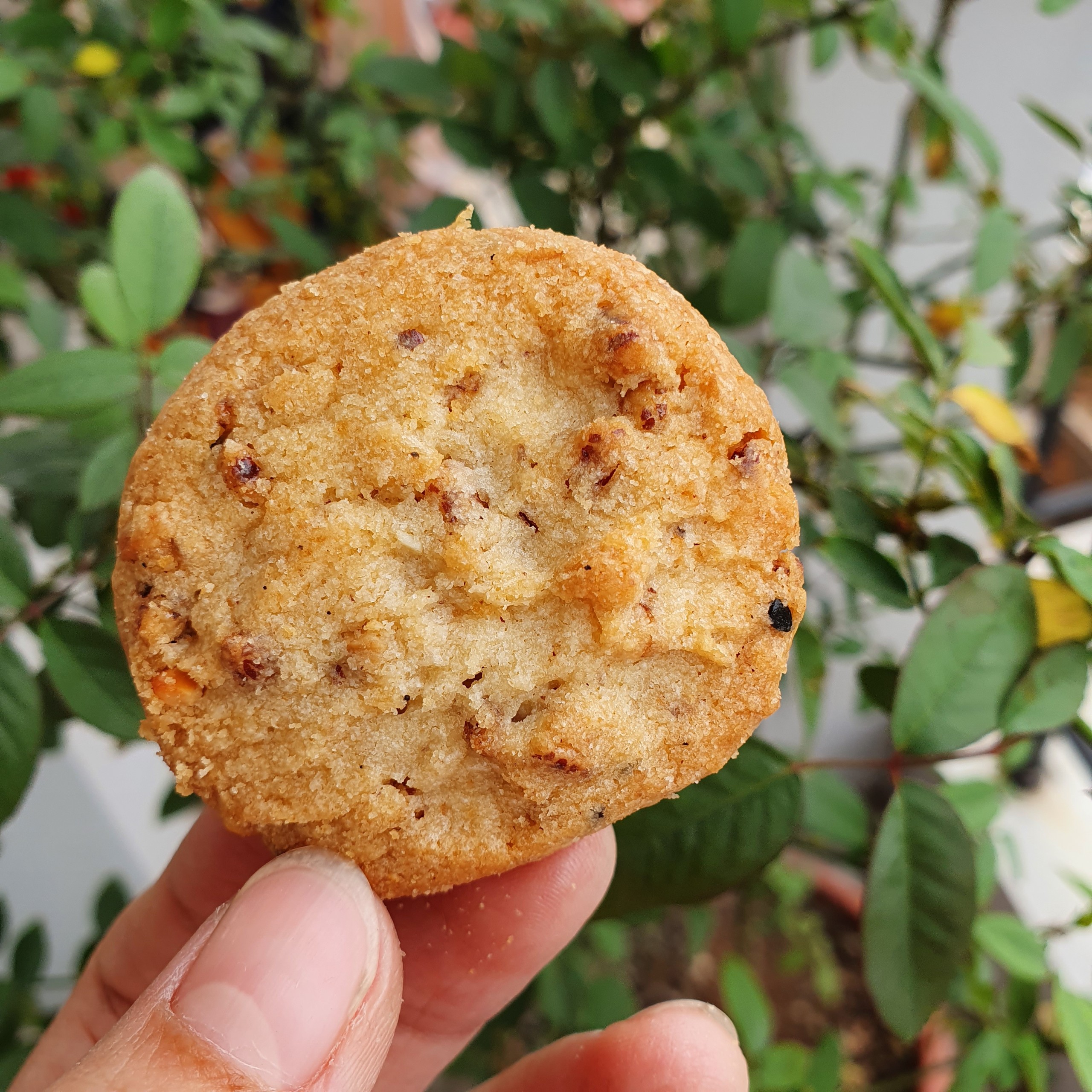 Bánh Cookies Hạt Điều - Giòn Tan, Bùi Thơm, Nhiều hạt