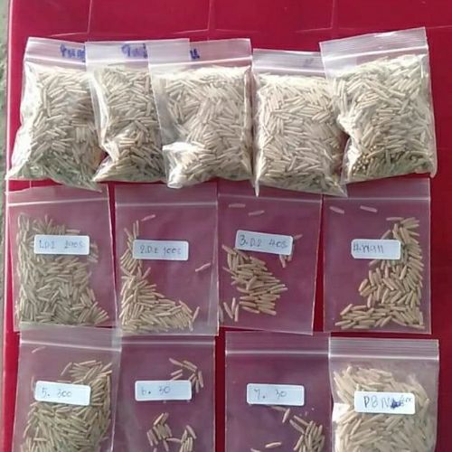 20 hạt sứ thái cánh kép màu như hình.