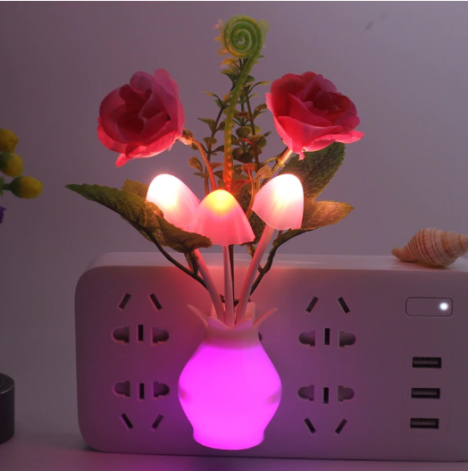 ĐÈN NGỦ CẢM ỨNG GIÁ SỈ
