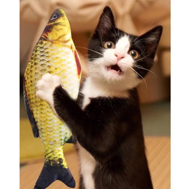 Catnip cho mèo hình cá 3D nhồi bông 🐟🐠