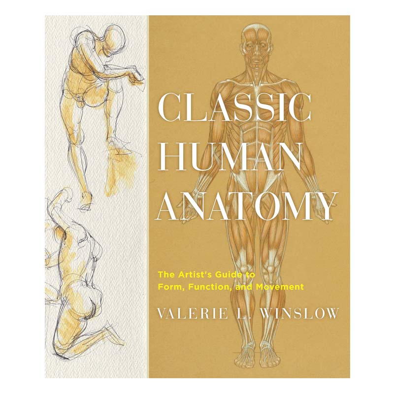 Artbook Sách Tiếng Anh Classic Human Anatomy The Artists Guide To