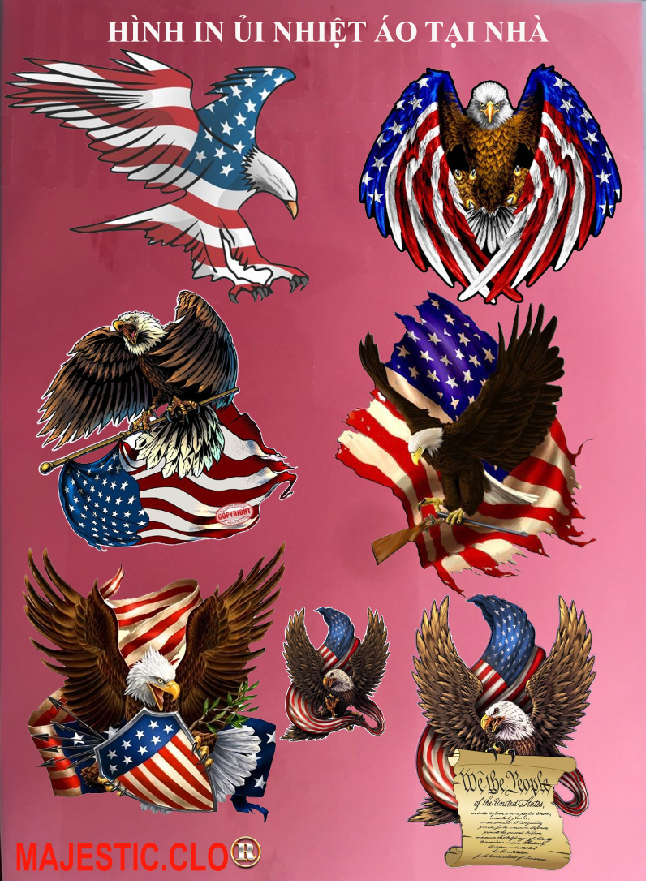 Hình ủi ép nhiệt-hình in áo- Logo American Eagle-Hình IN ÁO TẠI NHÀ RẤT ĐẸP-khuyến mãi -in pet chuyển nhiệt- ủi trực tiếp lên vải-MAJESTIC.CLO