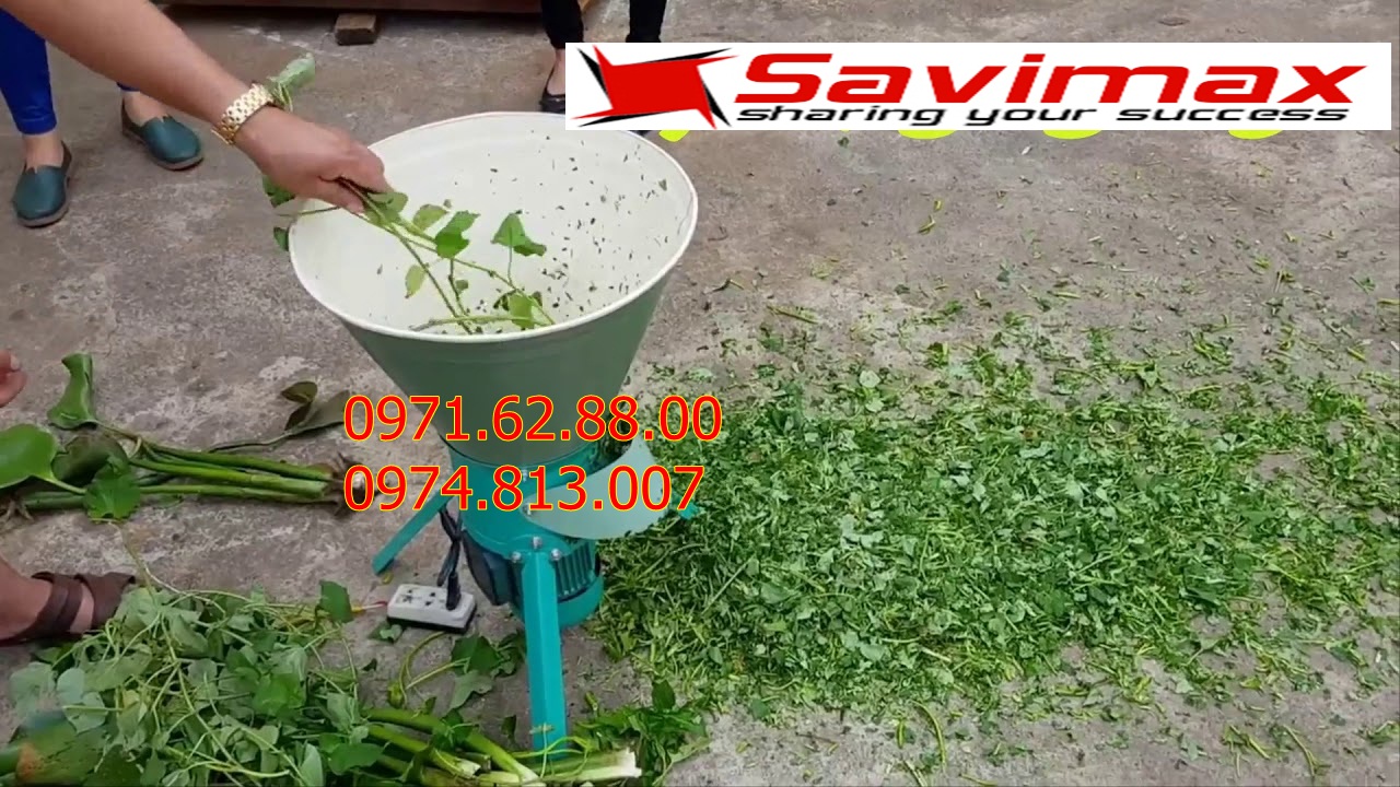 Máy băm xắt rau Bèo Lục Bình rau Muống cho heo gà vịt  bồ câu . Máy bằm rau bèo, rau muống chăn nuôi
