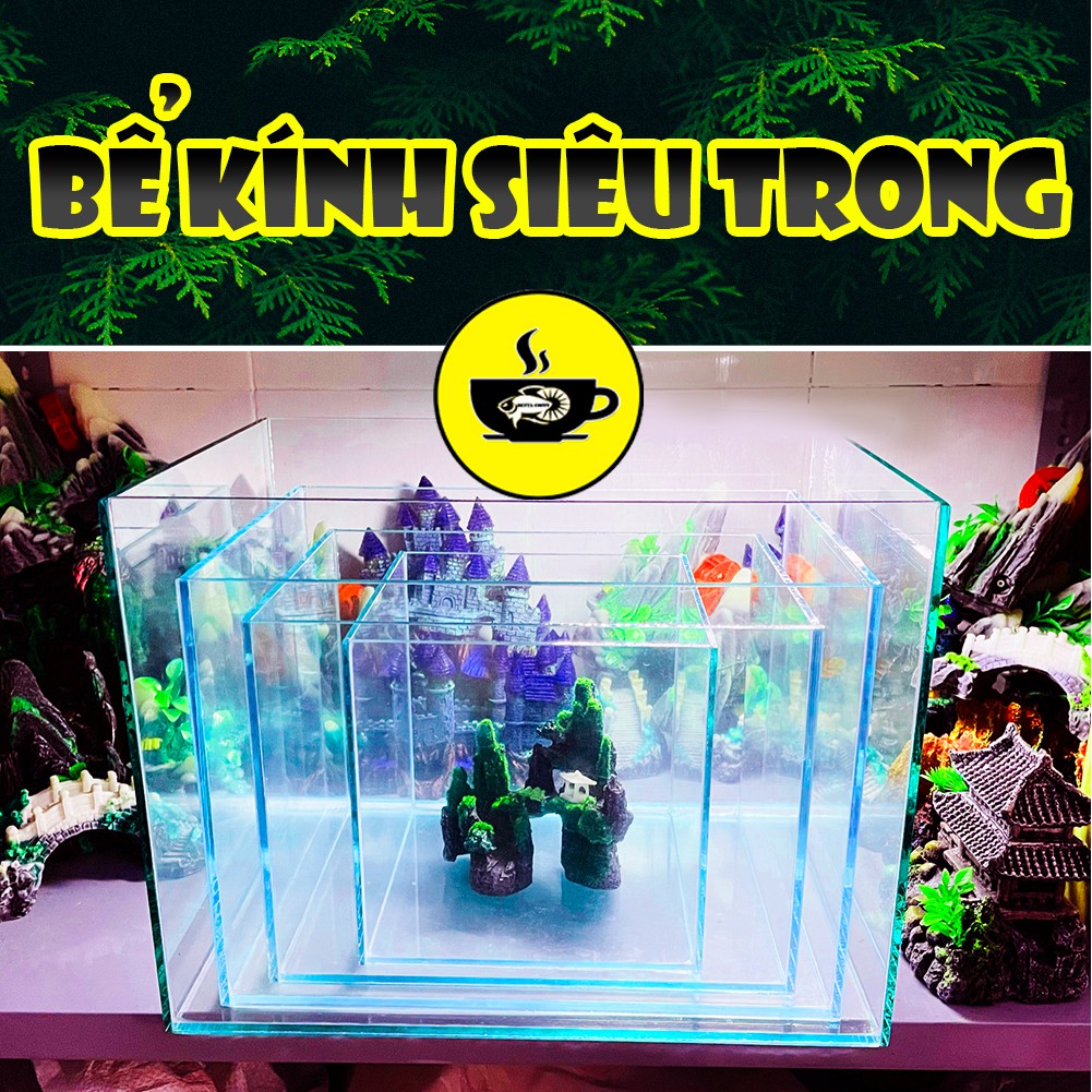 Combo Hồ Cá + Phụ Kiện Đèn Lọc Cây Sỏi Trang Trí Bể Cá Bằng Kính