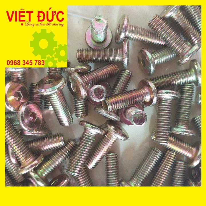 Bu lông lục giác chìm phi 8 dài 25cm 100con