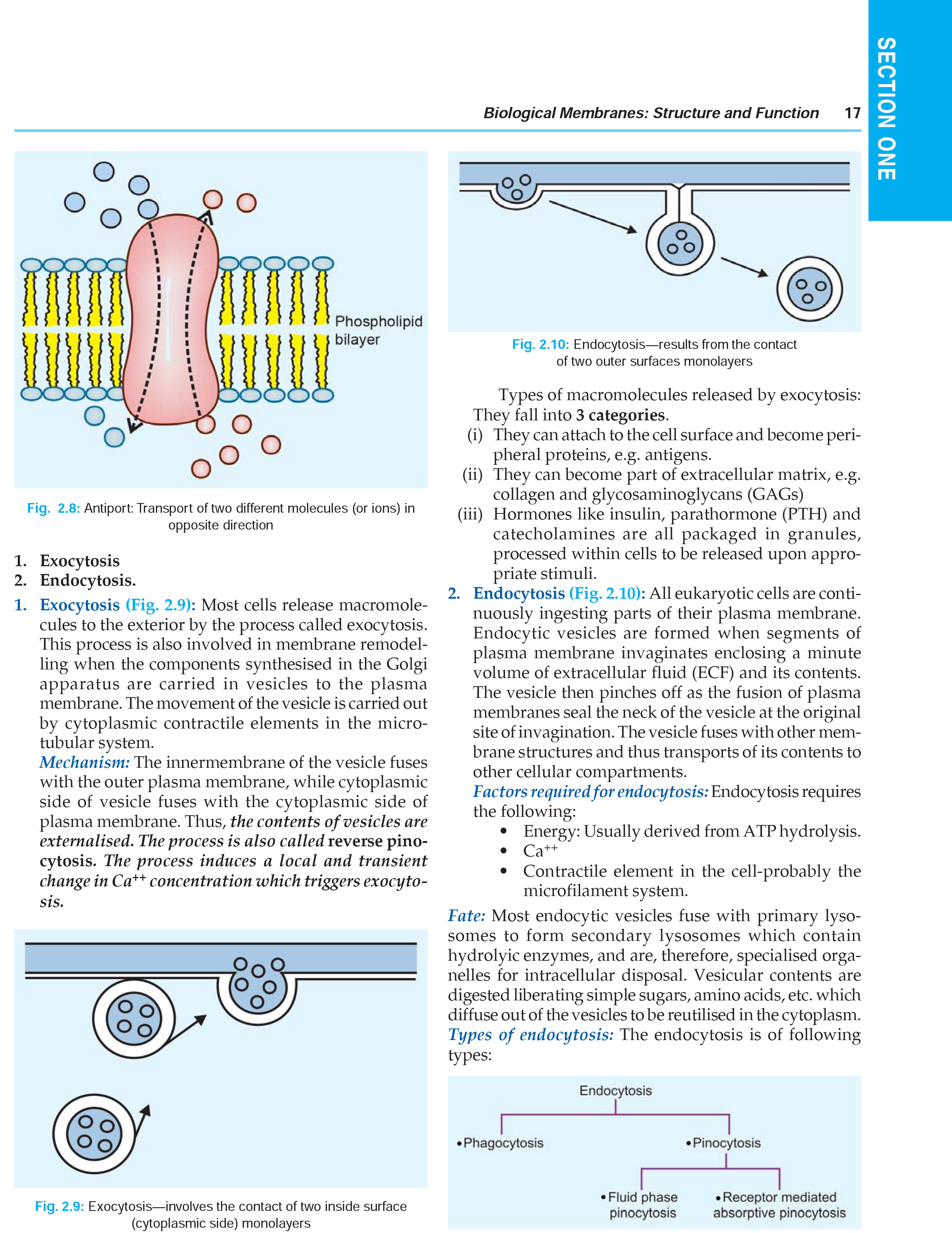 Textbook of Medical Biochemistry