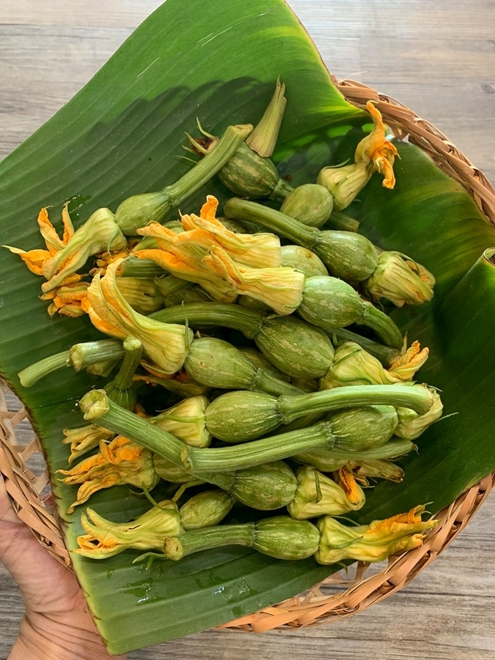 Hạt Giống Bí Ngô Ngồi Siêu Nụ