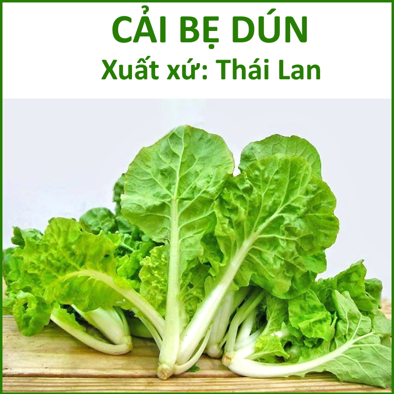 Hạt giống cải bẹ dún thái lan