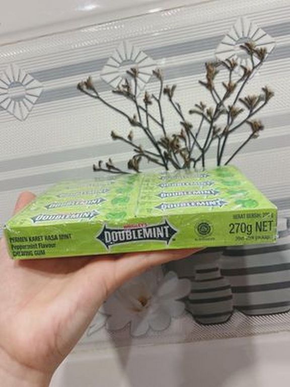 Thanh Kẹo Sing Gum Doublemint 5 Cây