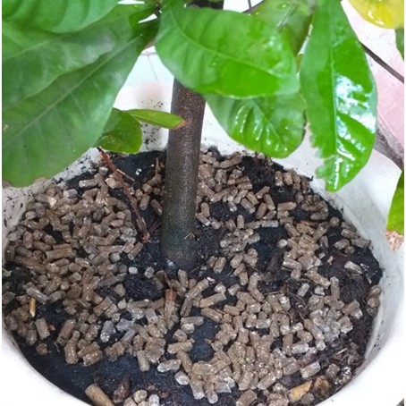 [HCM]Phân Gà Nhật ✔️✔️✔️Phân Hữu Cơ Loại Nhập Khẩu Cao Cấp (Tốt cho lá-Mập cho cây-Ra nhiều quả- 1kg)