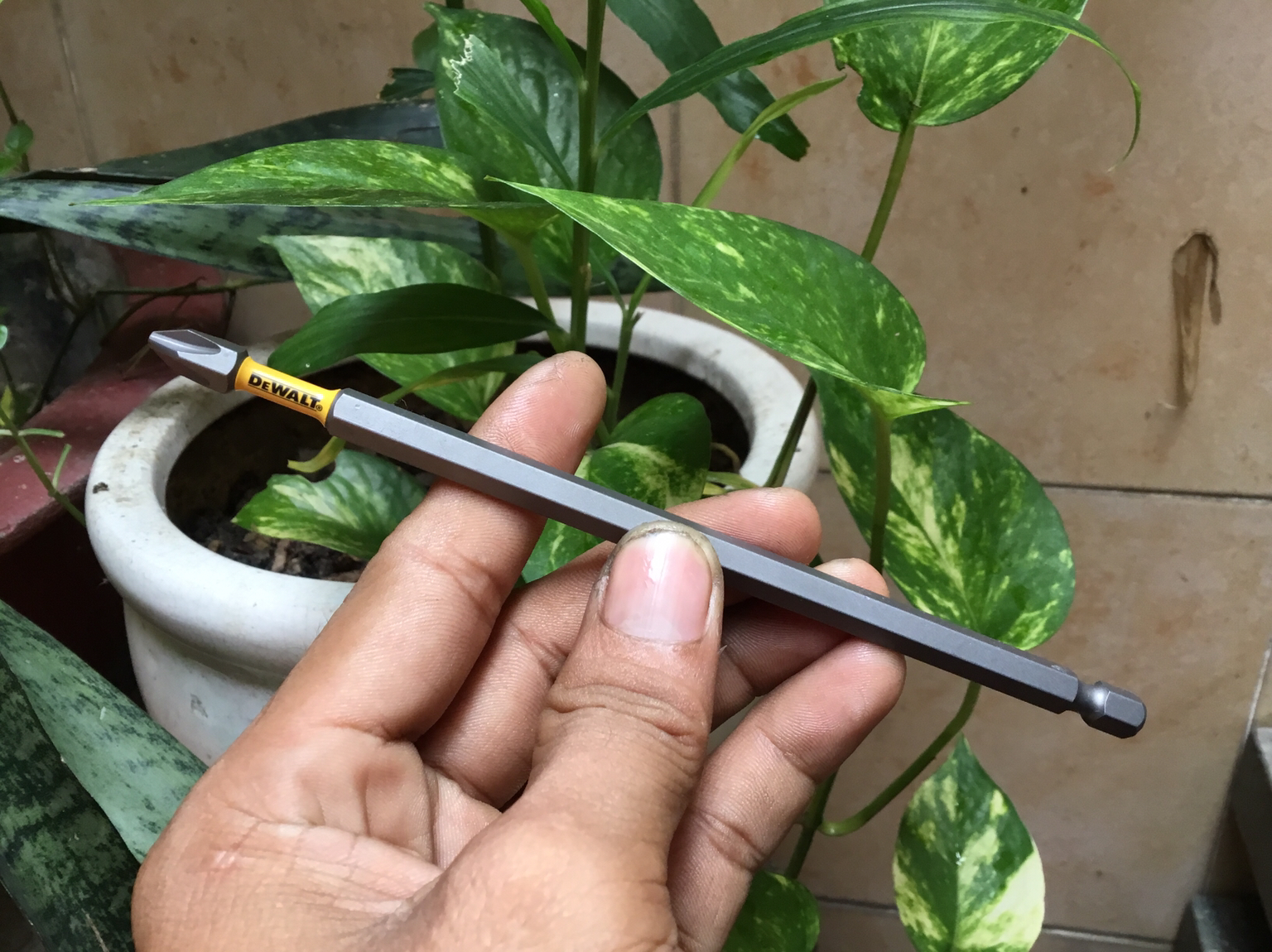 [HCM]Mũi Vít DeWalt Chính Hãng Ph2 152mm