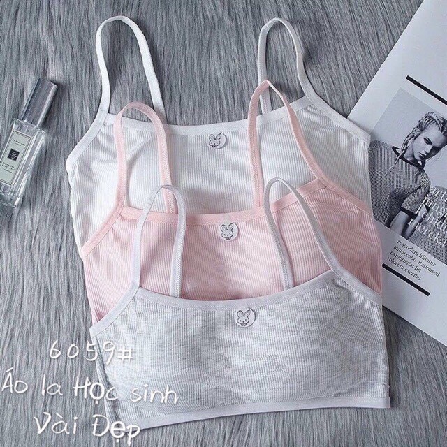 [HCM]ÁO LÓT HỌC SINH COTTON