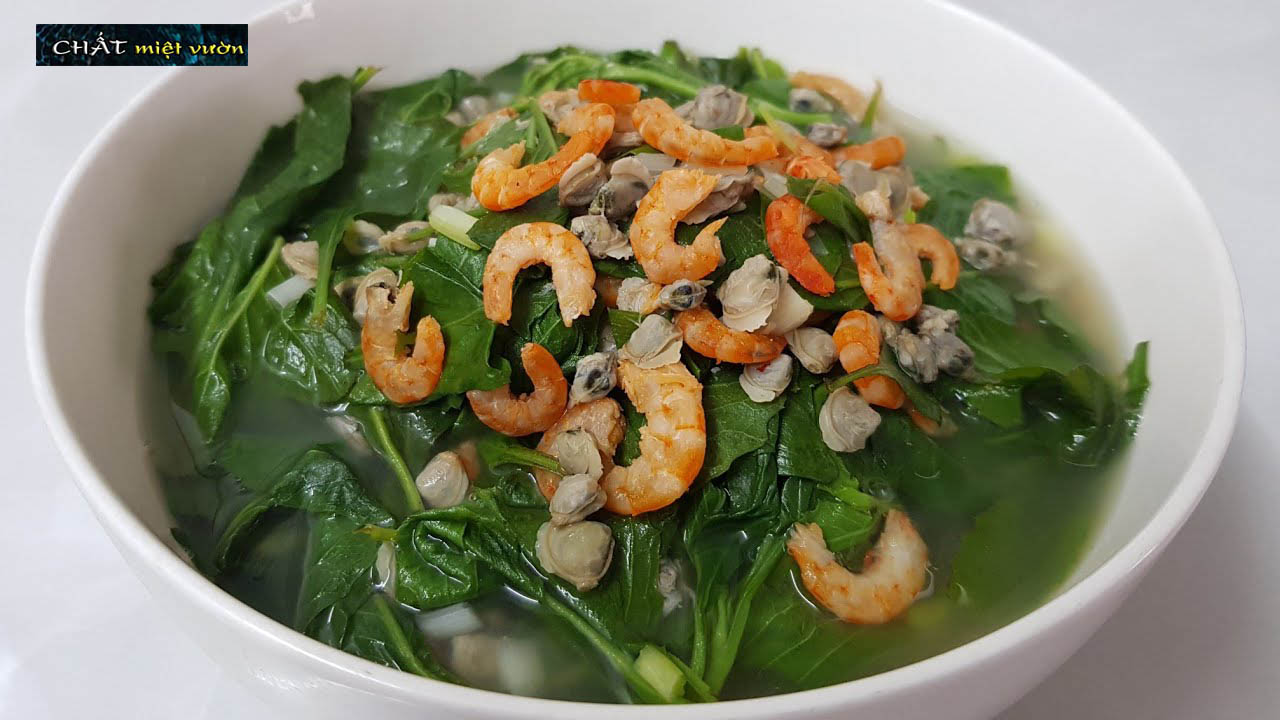 Cây cải trời giống (cây cao 20-30cm như hình)