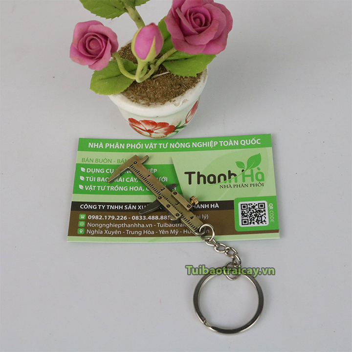 Thước kẹp mini đo thân lan - D91
