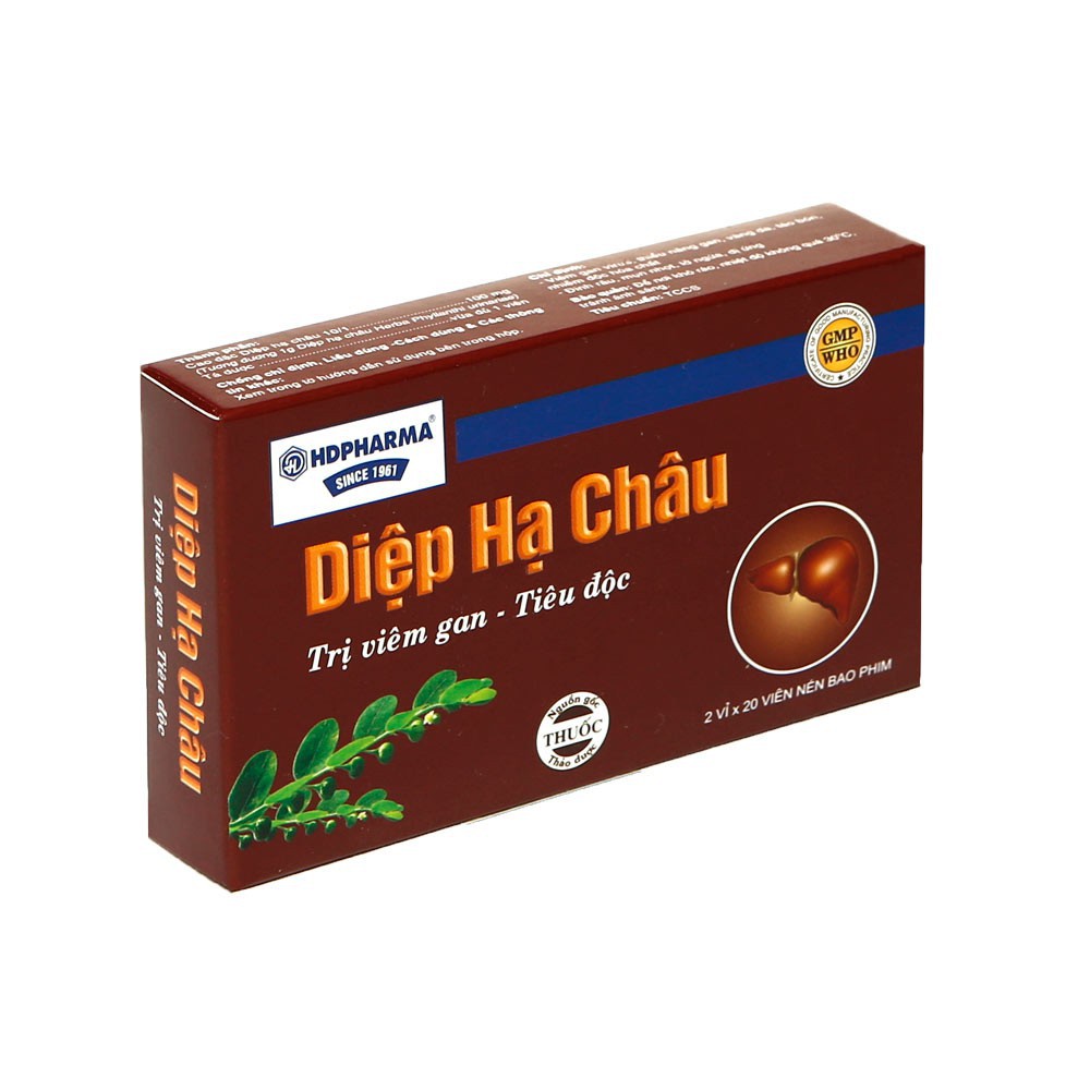 Diệp Hạ Châu 5 vỉ 20 viên