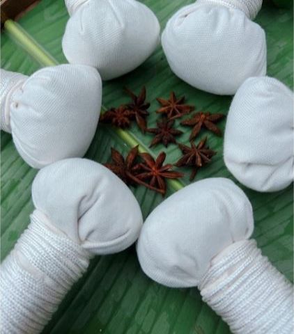 CÂY MUỐI THẢO DƯỢC CHƯỜM MẮT