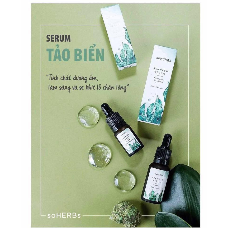 soHERBs Seaweed Serum - Tảo Biển