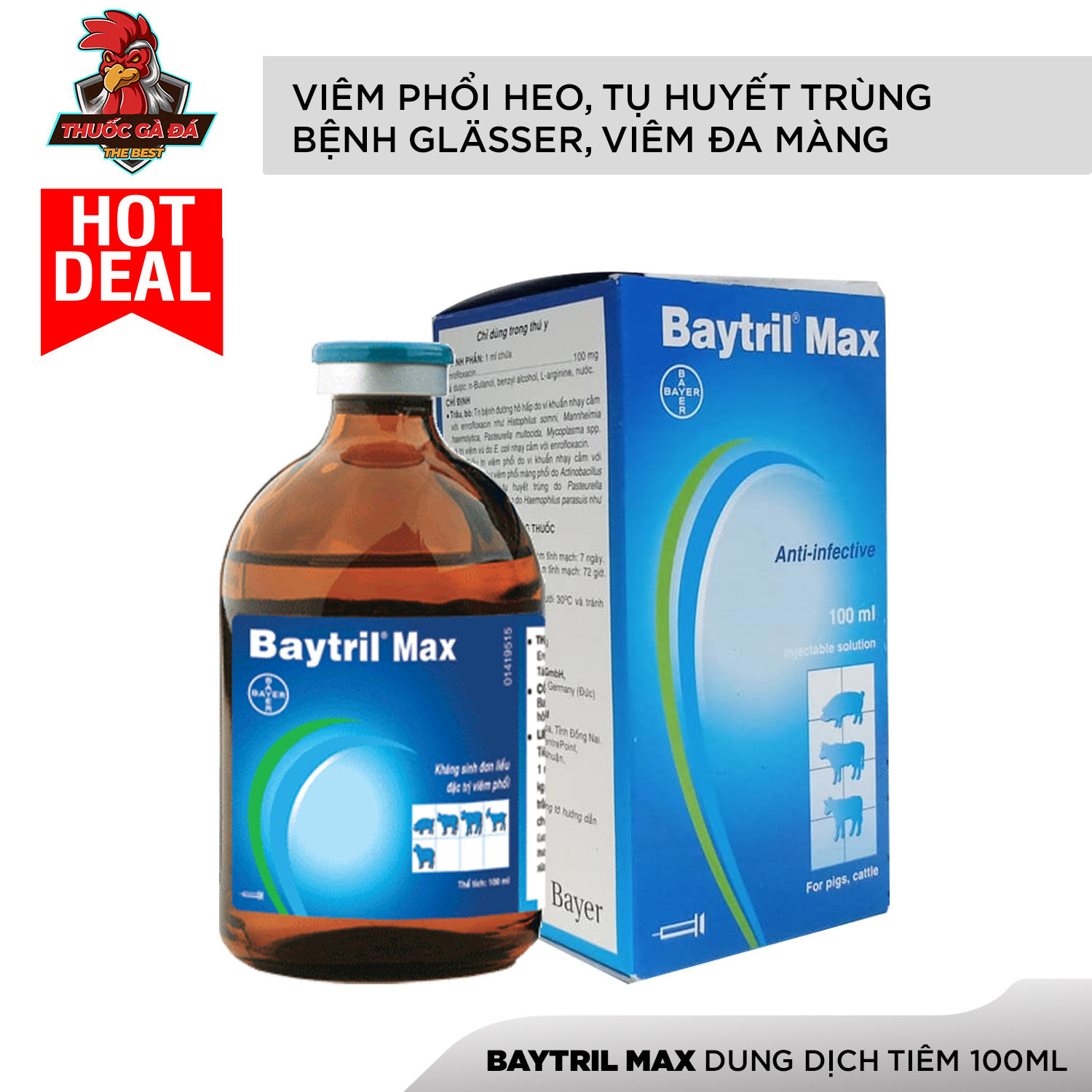 BAYTRIL - MAX viêm phổi heo, tụ huyết trùng, bệnh Glässer, viêm đa màng
