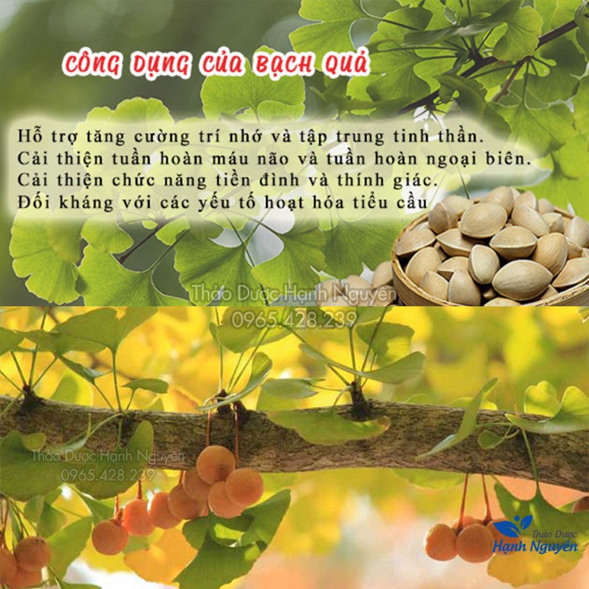 Bạch Quả Khô 1kg