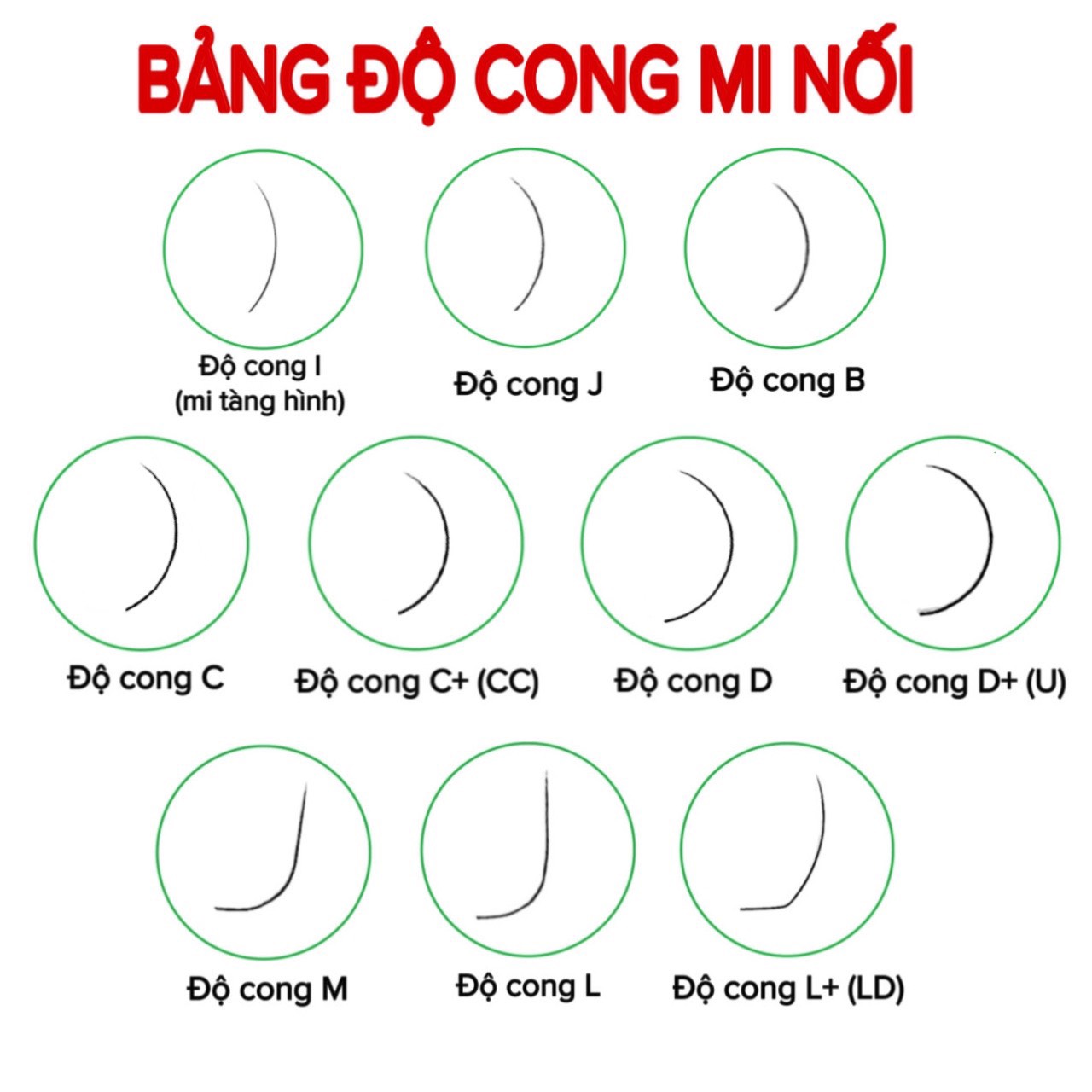 Mi khay SEDUIRE độ cong D (12 hàng), tóc SILK