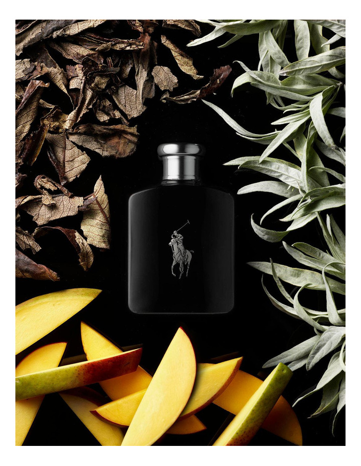 [Chiết 10-20-30ml] Ralph Lauren Polo Black
