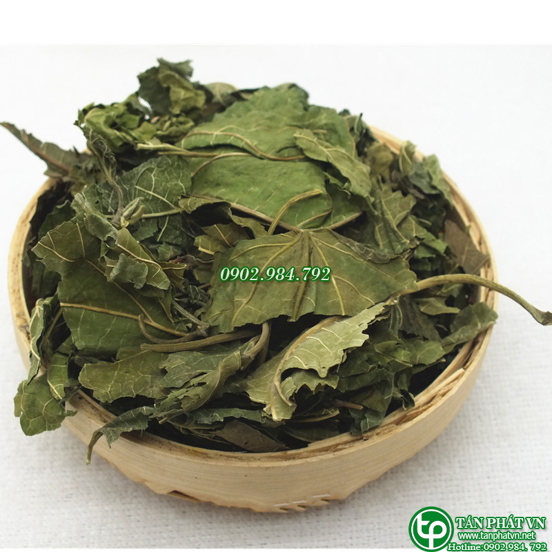 Lá dâu tằm khô 500g - tấn phát - Hàng sạch chất lượng cao - Chuyên dùng để pha trà