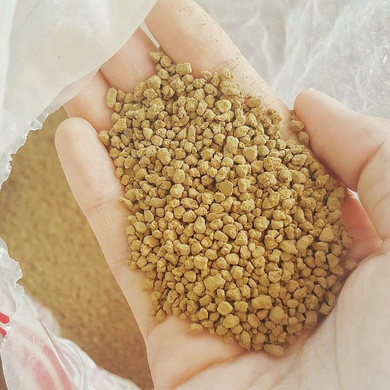 Đất Akadama 3-5mm (1kg) - Đất trồng sen đá cao cấp