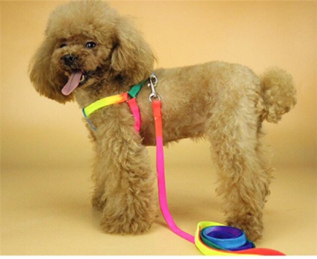 Dây dẫn🌈🌈 ( Có yếm ) Dành cho mấy bé hay "Nhoi