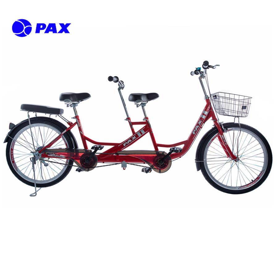 [HCM]Xe đạp đôi PAX 1-Sport