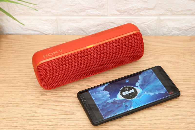 Loa Bluetooth Sony Extra Bass SRS-XB22 ( Like New )