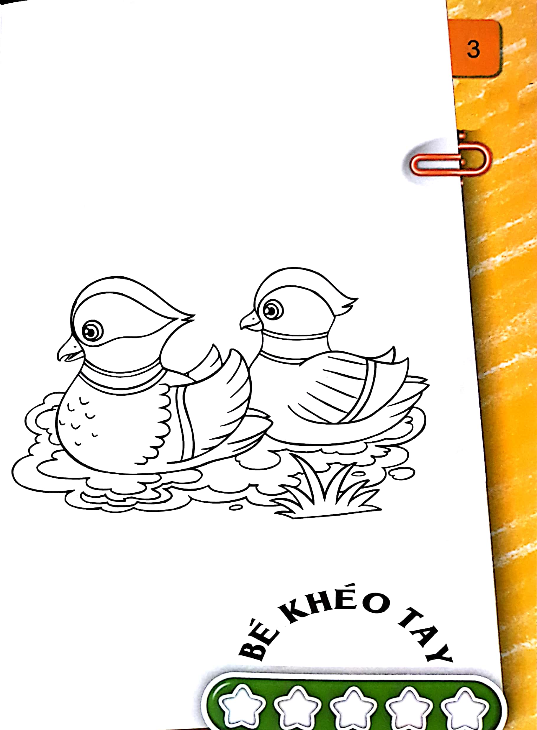 Fahasa - Bé Tô Màu (2-6+) - Các Loài Chim - Tập 2 (Tái Bản 2017)
