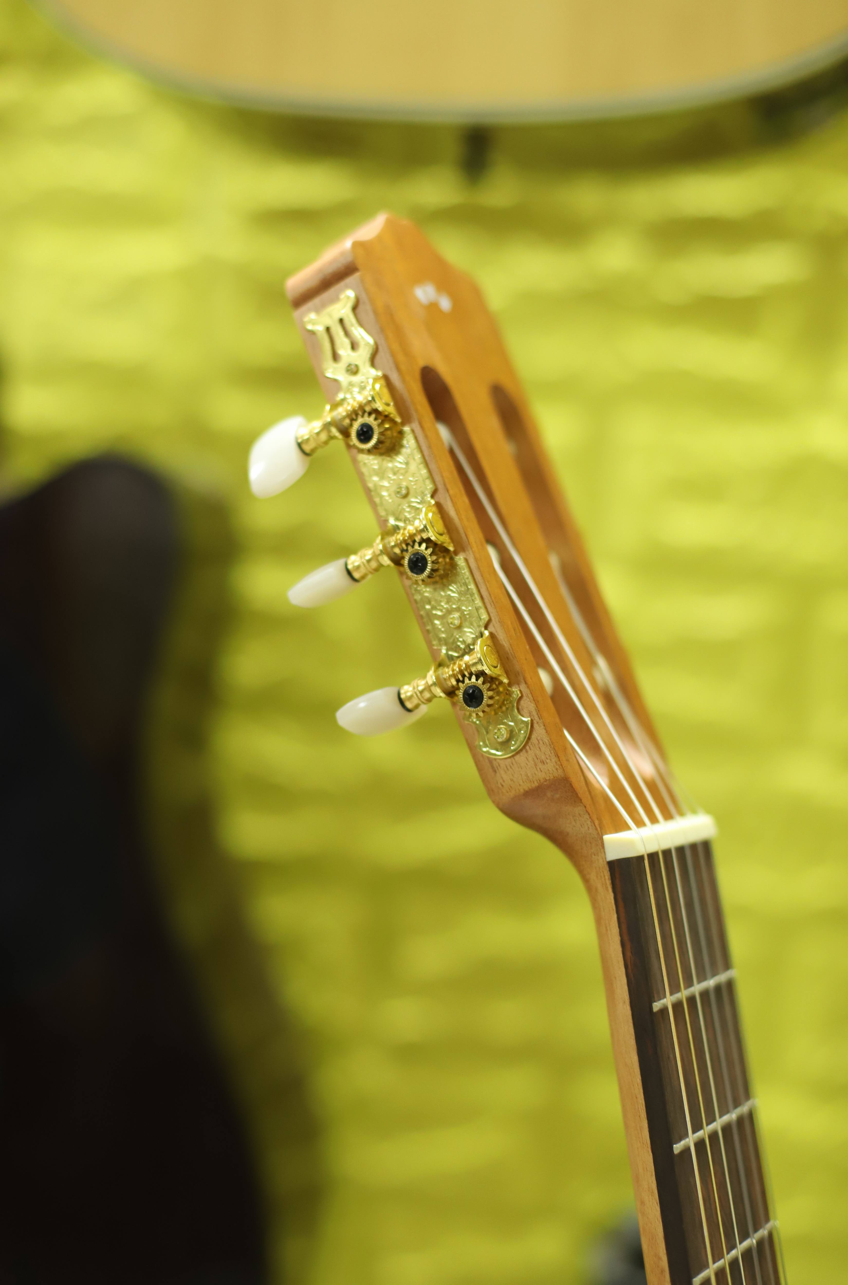ĐÀN GUITAR CORDOBA NYLON PROTEGE C1M 02685