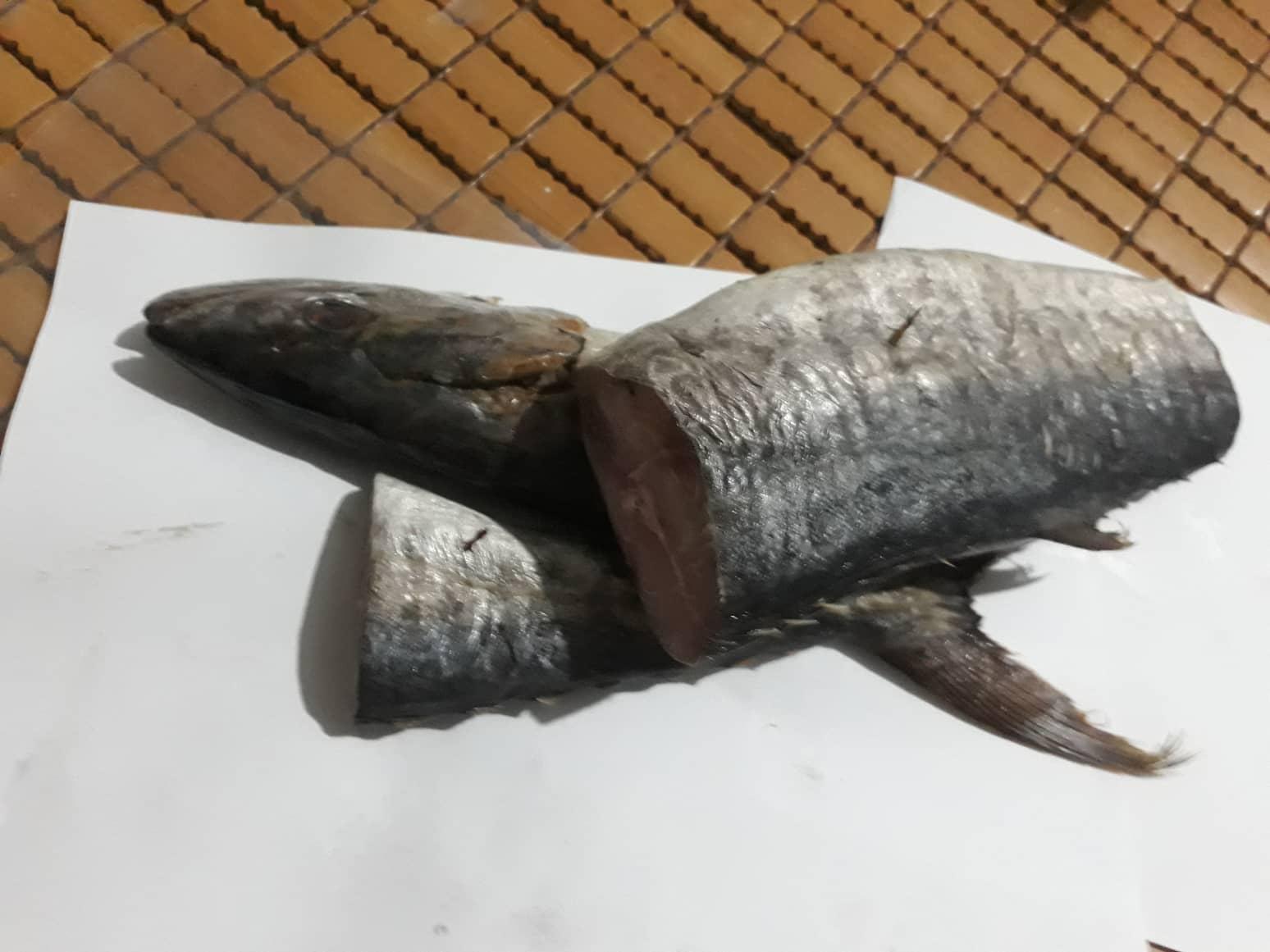 con 1,1 - 1.2 kg mắm cá thu hương (không đầu)