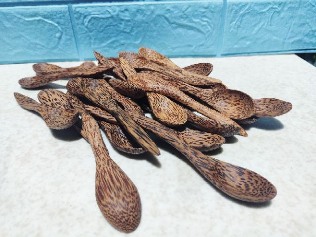 Muỗng Nhí 12Cm