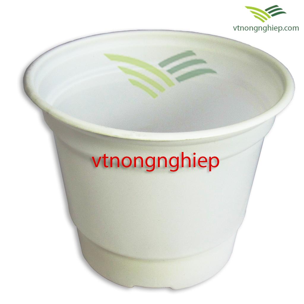 50 chậu nhựa trồng hoa CH-15x12 cm