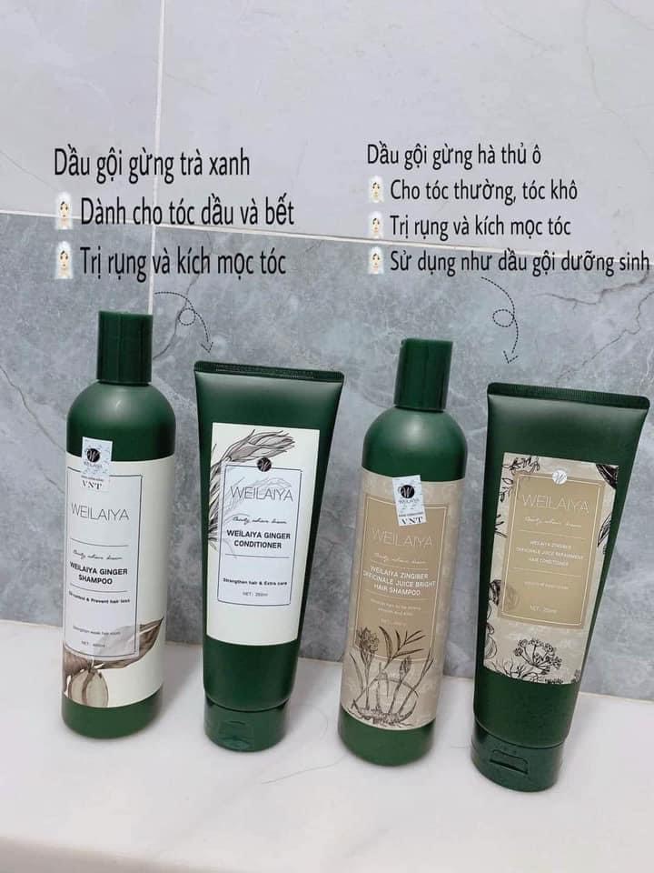 Cặp gội gừng trắng giảm rụng tóc Weilaiya