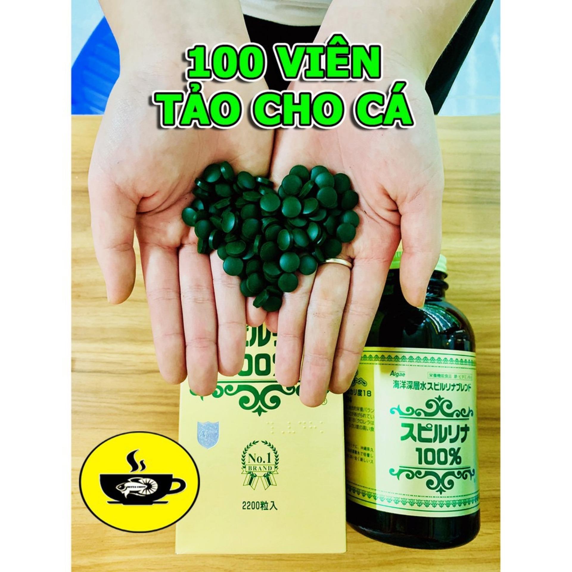 Tảo viên - Thức ăn cho cá betta guppy