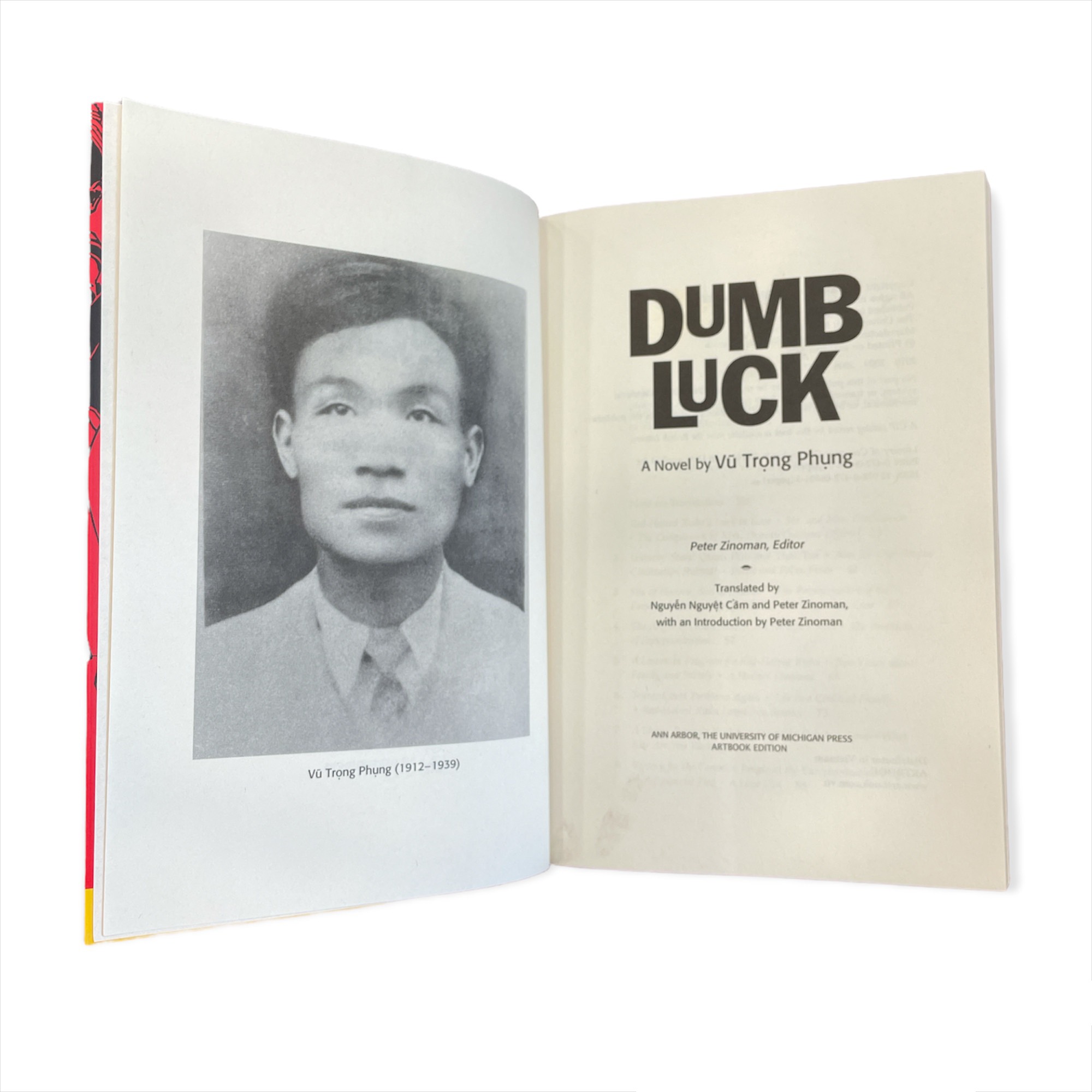 Artbook - Sách Tiếng Anh - Dumb Luck ( Số Đỏ )