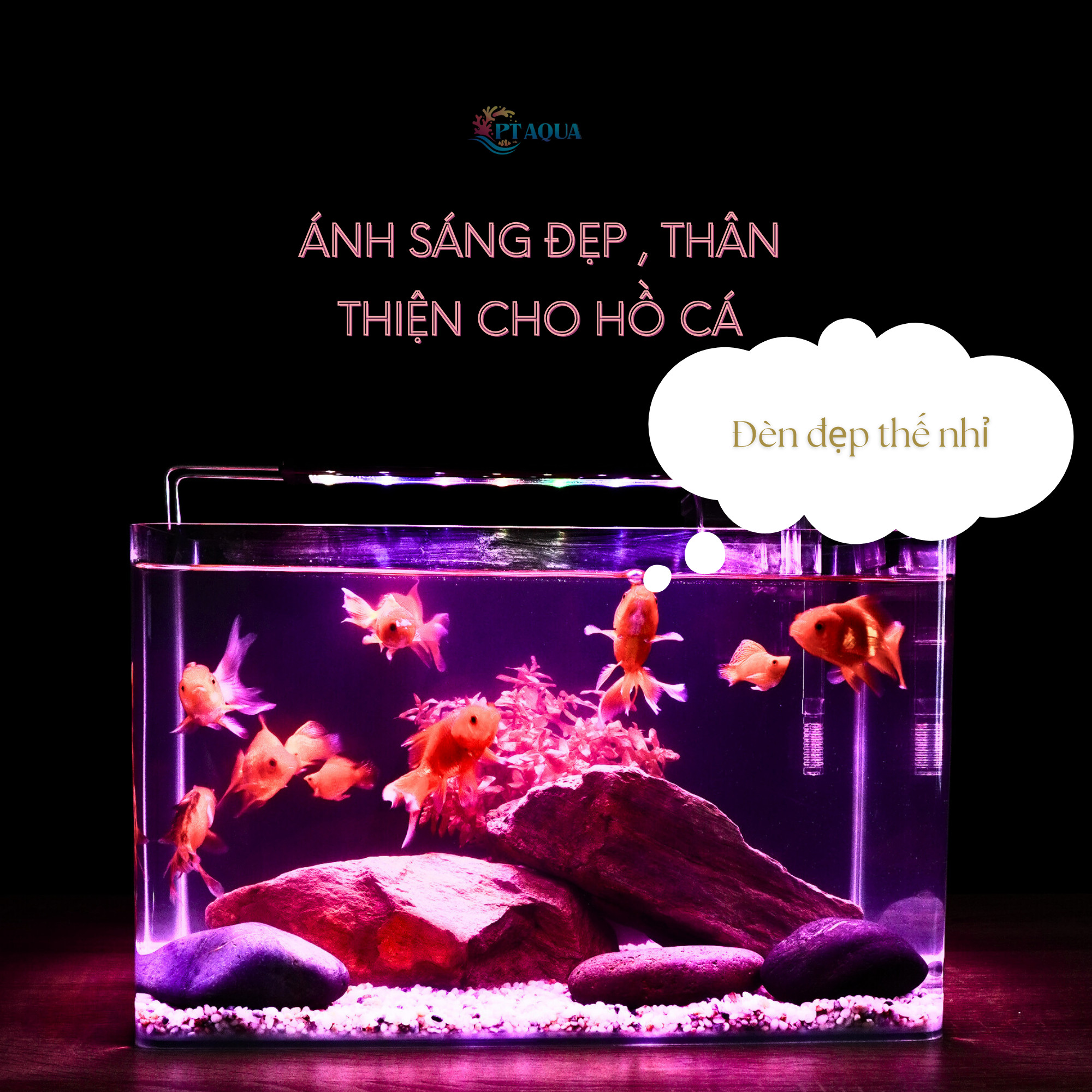 Đèn bể cá ĐỔI MÀU 3 CHẾ ĐỘ SÁNG cho bể cá cảnh 20CM đến 110cm