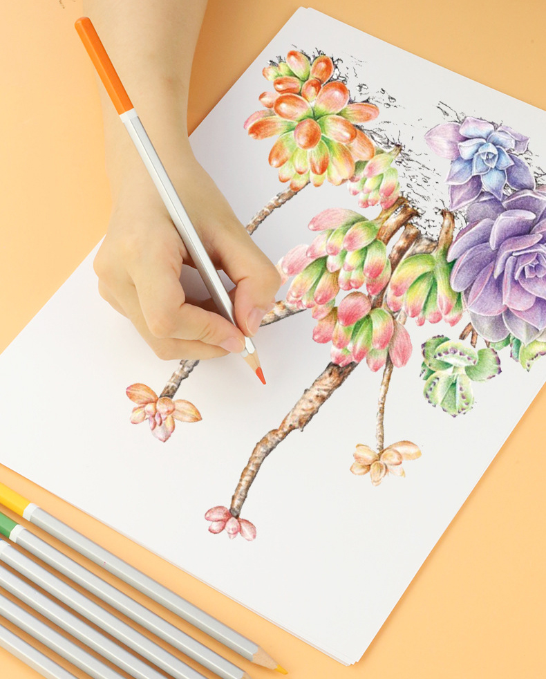 Bút Marker Touch Sketch Hàng Cao Cấp Mới 30/48/60/80M